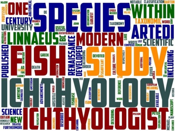 Ichthyology Wordart Sticker