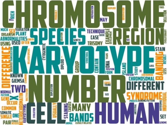 Karyology Wordart Print: The Creative Catalyst for Purpose-Driven Design